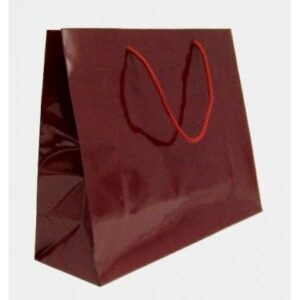 Bordeaux Luxury Gloss Sale Bag 16's 1