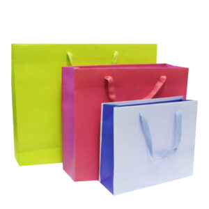 Ribbon Handle Paper Carrier Bags