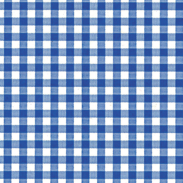 Blue Gingham Wrapture Printed Tissue 1