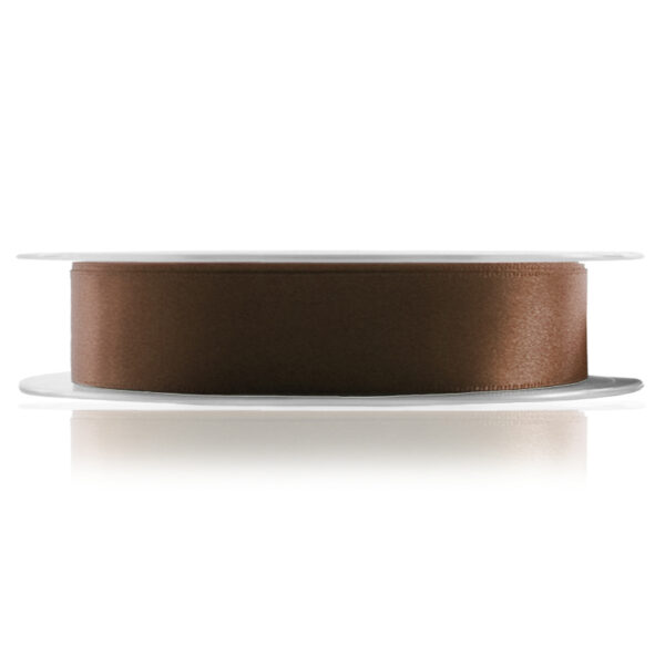 Brown Satin Ribbon 2