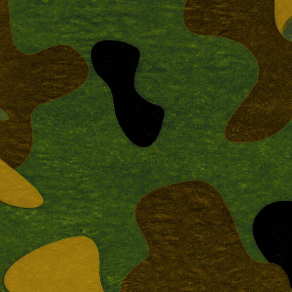 Camo Wrapture Printed Tissue 1