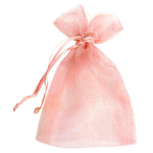 Light Pink Sheer Pouches 1