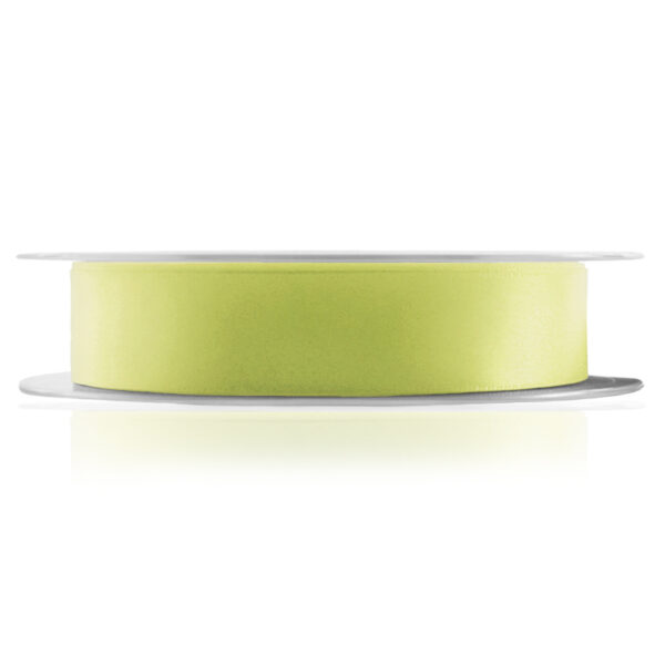 Lime Juice Satin Ribbon 2