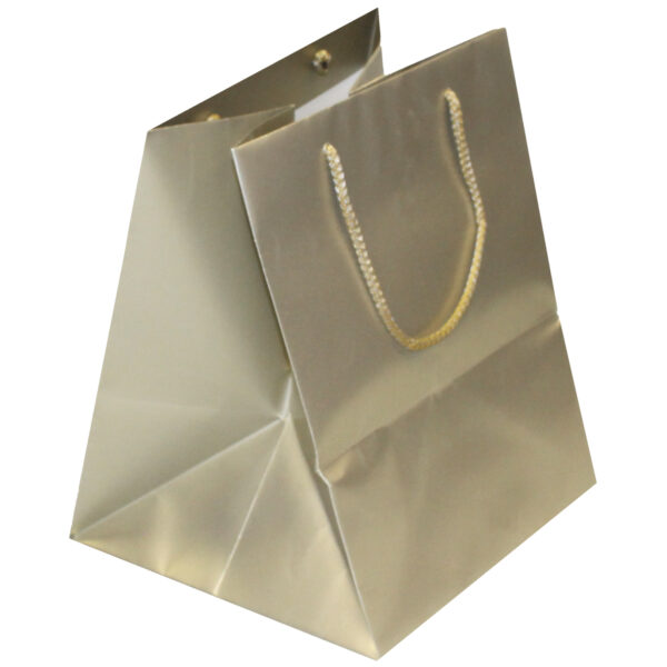 Platinum Metallic Cake Bag 2