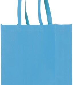 Sky Blue NWPP Tote