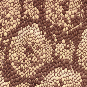 Snake Skin Wrapture Printed Tissue 1